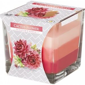 Bispol sv��ka t��barevn� Flower-Cactus 170g Bispol sv��ka t��barevn� Flower-Cactus 170g